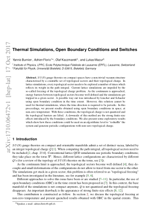 Thermal Simulations, Open Boundary Conditions and Switches